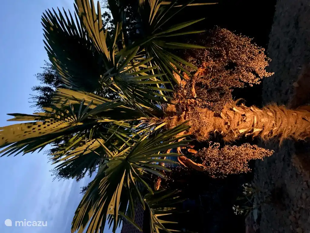 Villa Monte Rosa Garten