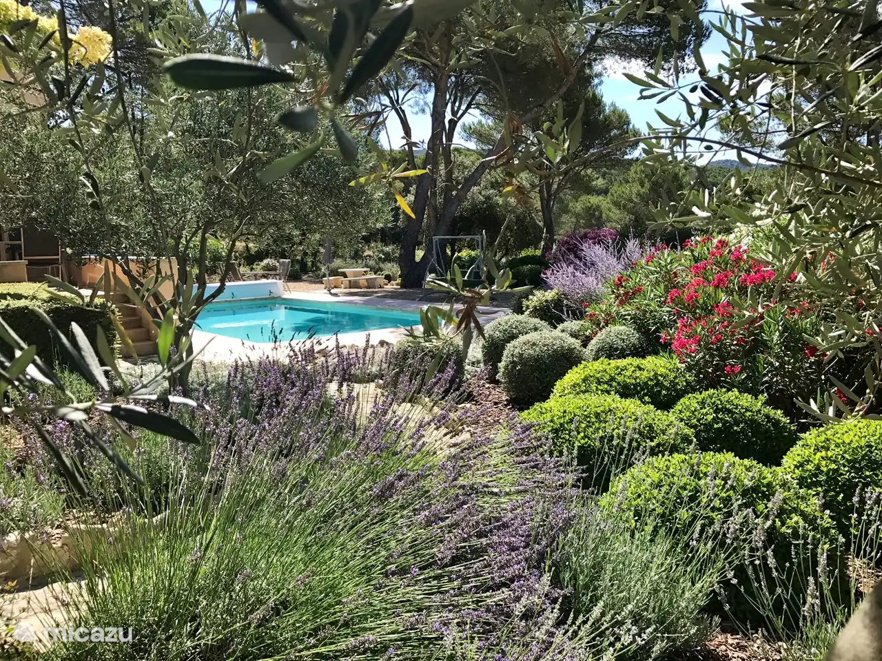 Garten mit Pool im Sommer