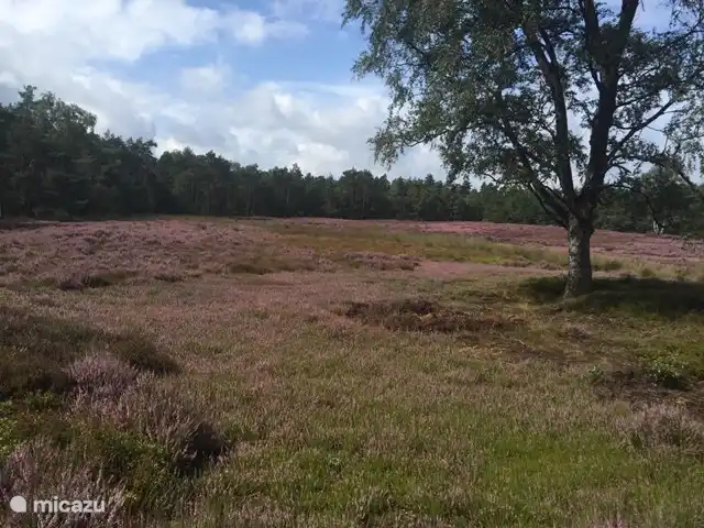 Spaziergang entlang des Vlonderpads. info@landgoedtongeren.nl
