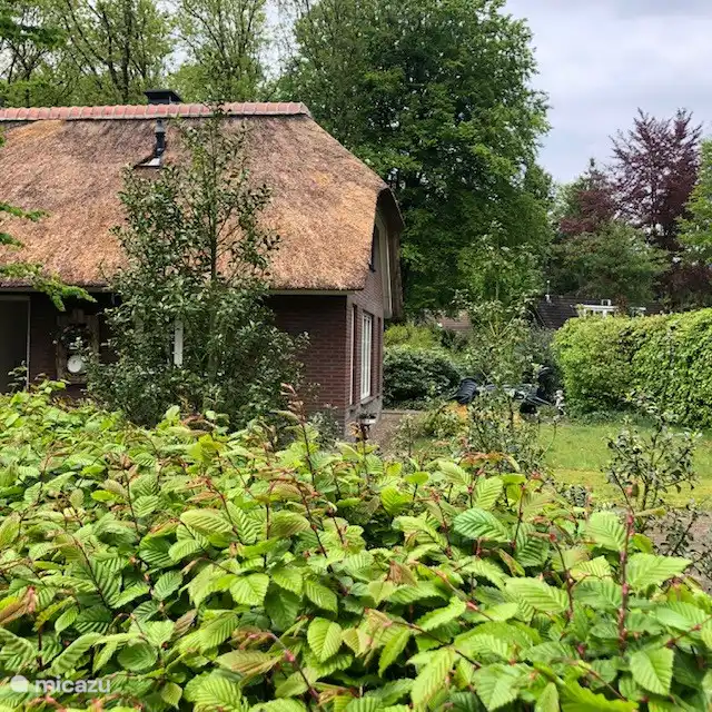 Remboe Village 42 in Niederlande, Gelderland, Epe - Bauernhof