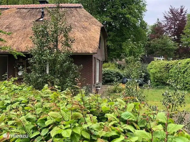 Location de Vacances Pays-Bas, Gueldre, Epe, ferme - Remboé Village 42