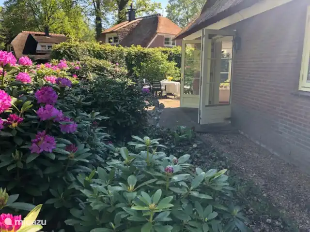Location de Vacances Pays-Bas, Gueldre, Epe, ferme - Remboé Village 42