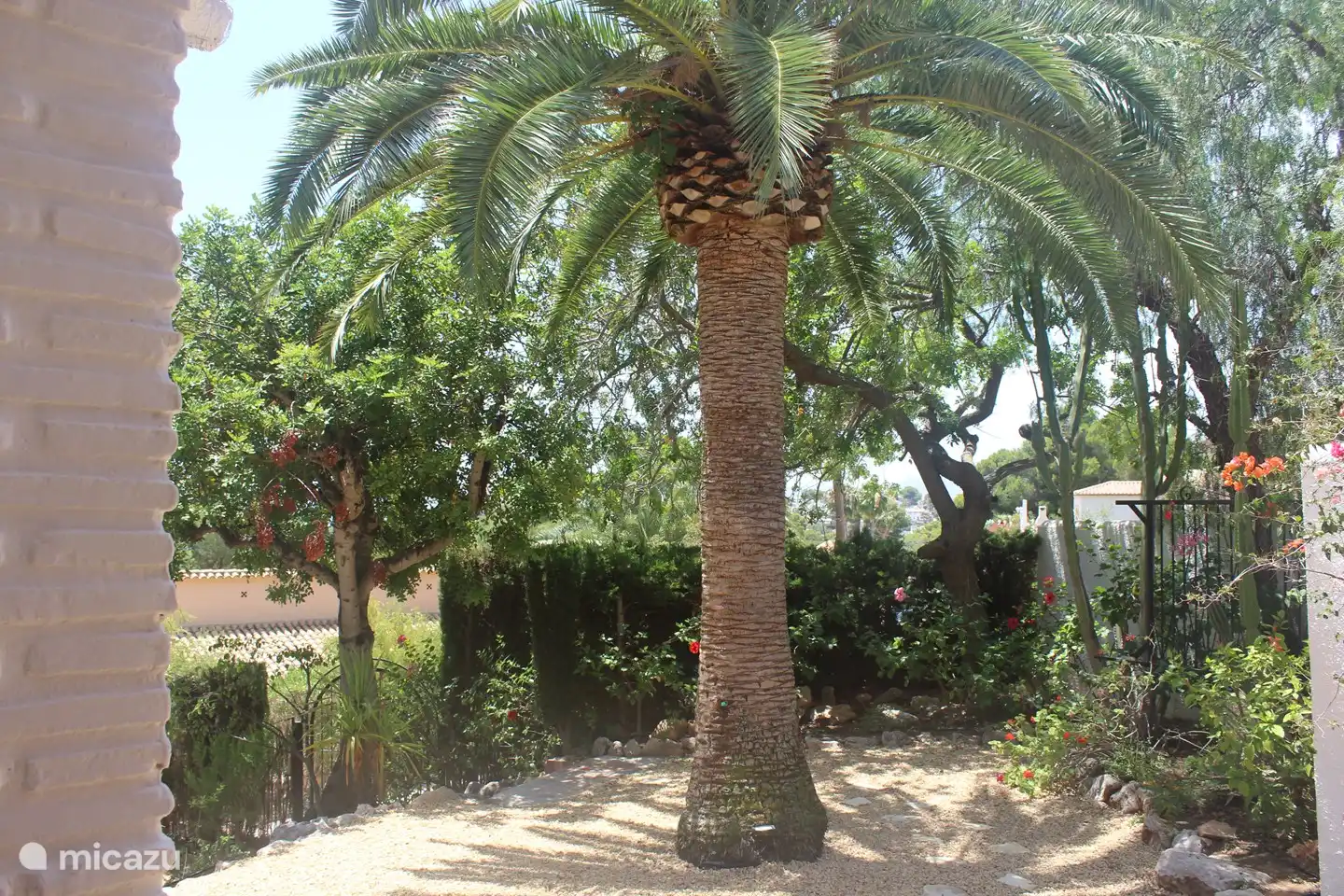 Jardín junto a la naya