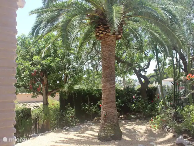 Villa Indalera en España, Costa Blanca, Moraira - villa Jardín junto a la naya