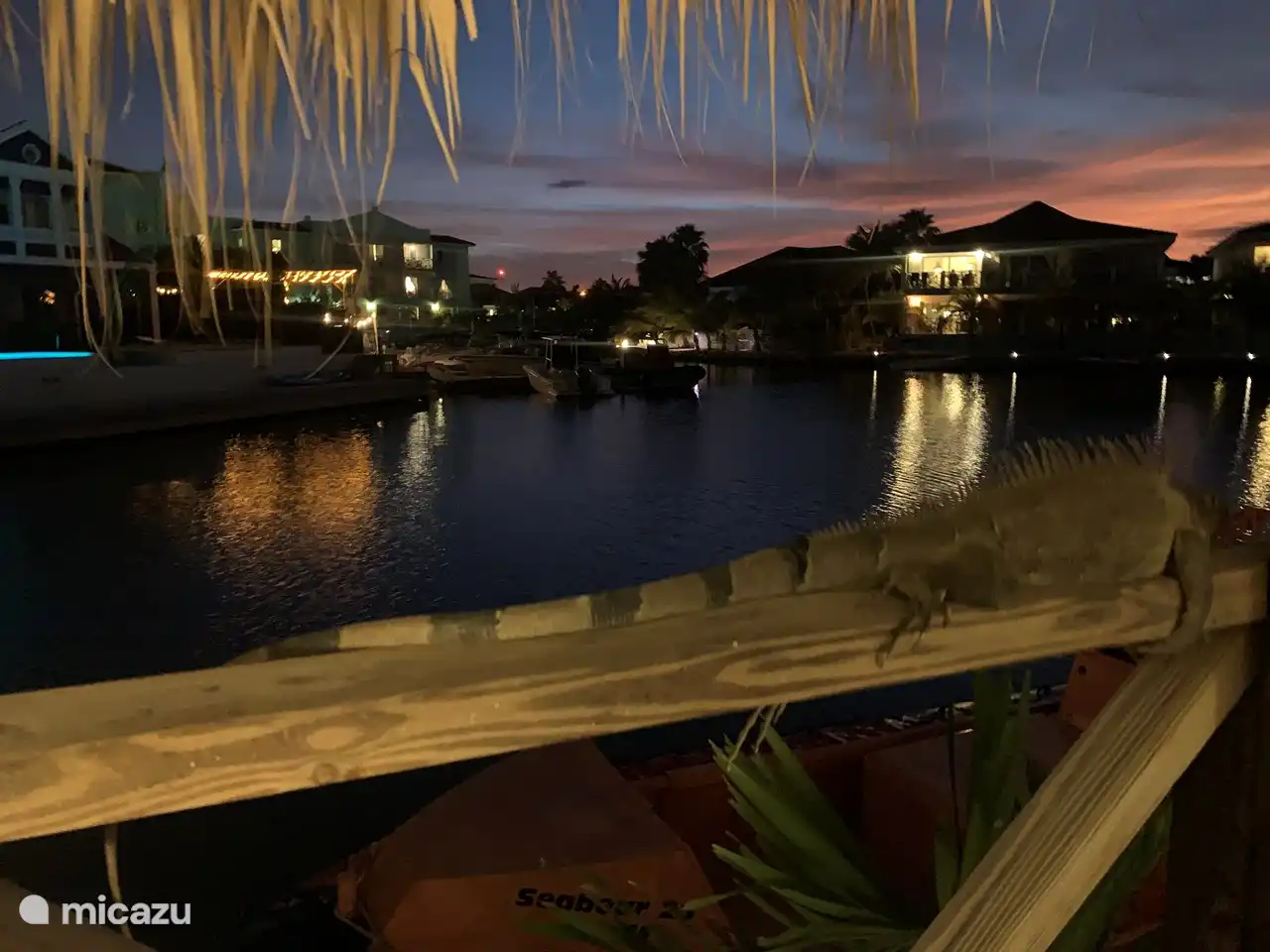 in the evening from the terrace