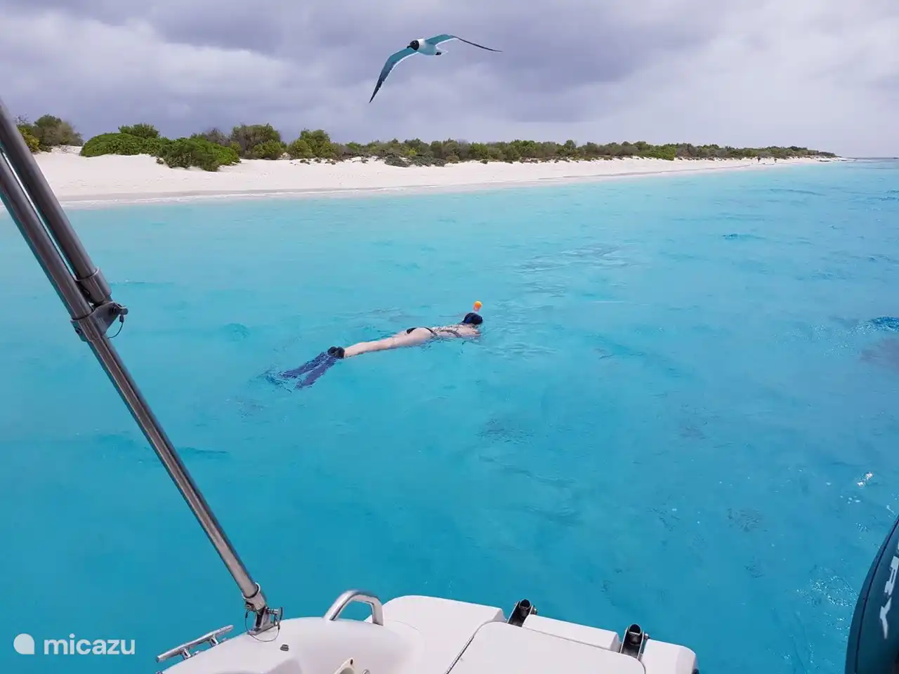 Snorkeling at Klein Bonaire