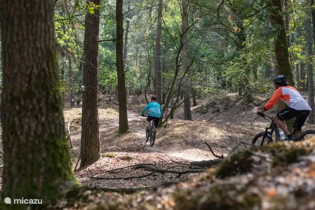 Mountainbike-Route durch den Wald. Sie können diese Route vom Haus aus starten.