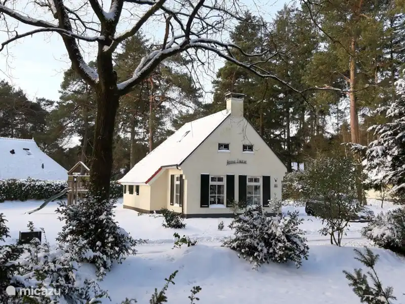 Maison forestière Anna Louise | Pays-Bas, Drenthe, Diever - Maison de vacances Maison forestière Anna Louise | Pays-Bas, Drenthe, Diever - Maison de vacances