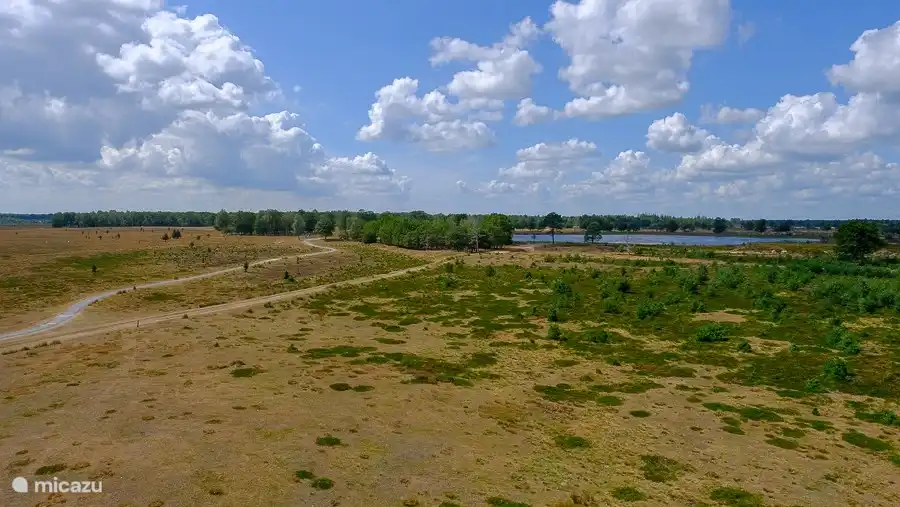 Ein schöner Spaziergang entlang eines Moores und Sandverwehungen.