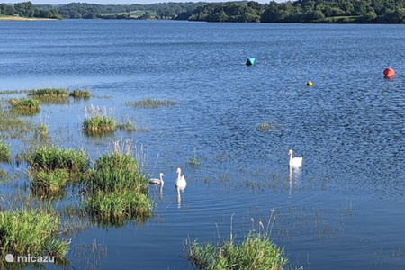 Lago de Alto Charente