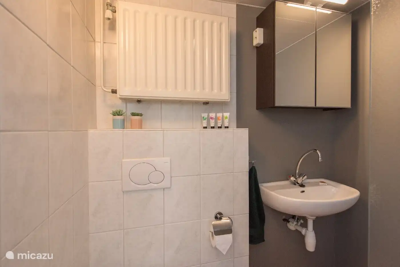 Das Badezimmer mit Toilette, Waschbecken und ebenerdiger Dusche