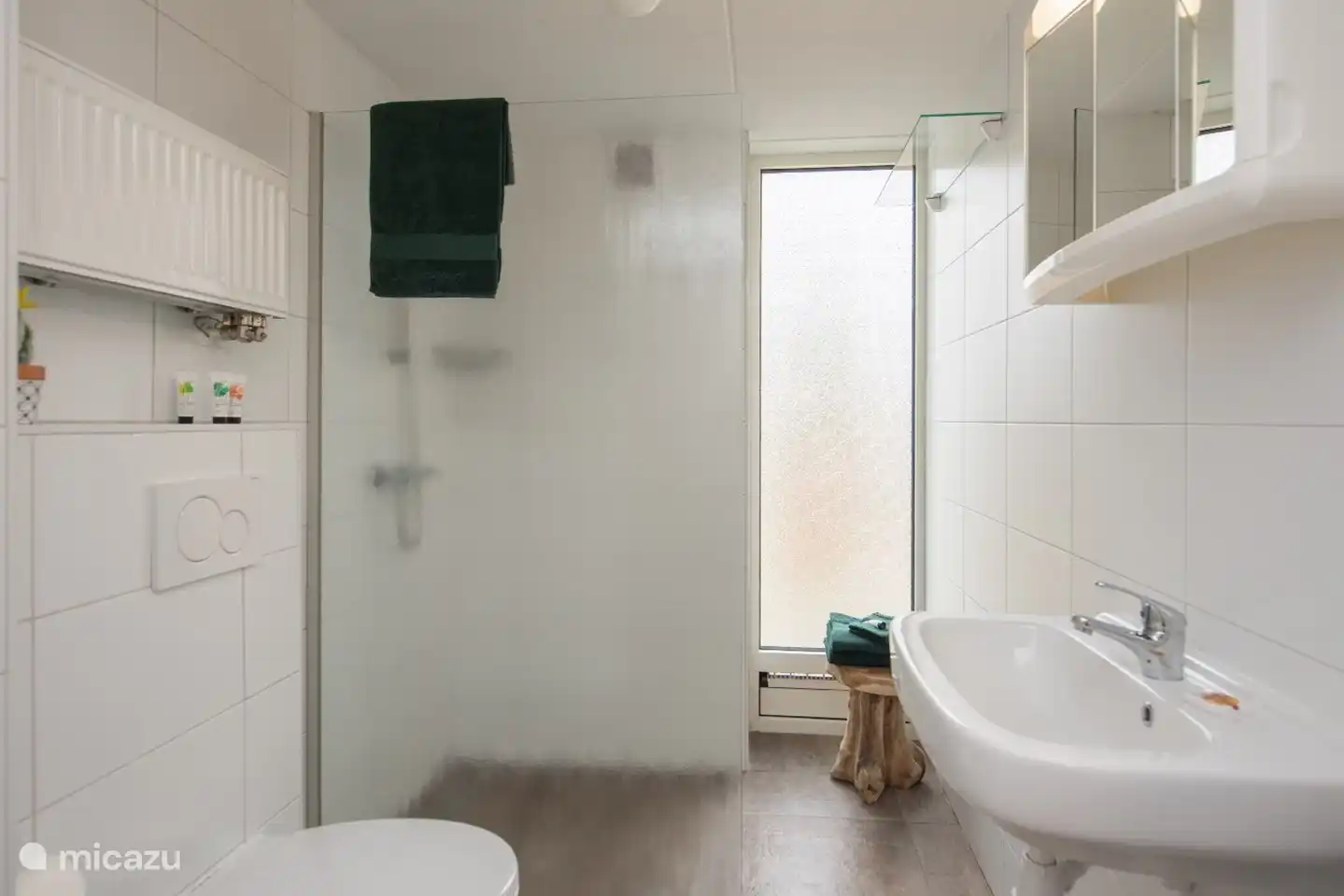 Das Badezimmer verfügt über eine Toilette, ein Waschbecken und eine ebenerdige Dusche