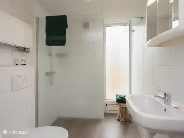 Walibi marrón en Países Bajos, Barbante Septentrional, Heesch - bungaló El baño tiene inodoro, lavabo y ducha a ras de suelo.