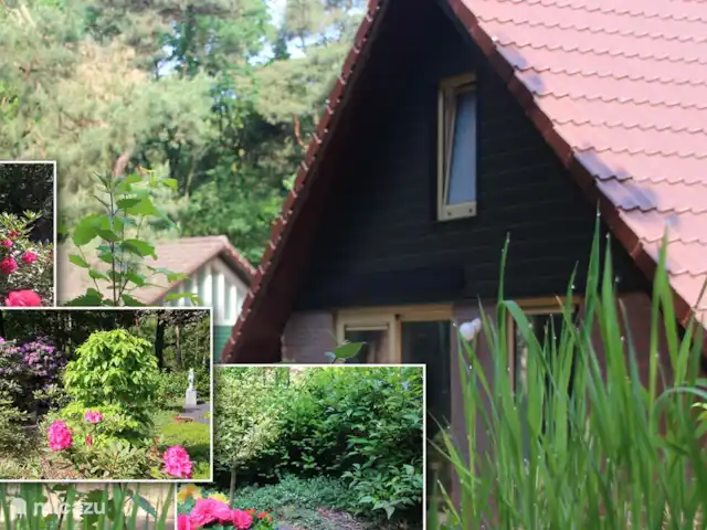 Walibi marrón en Países Bajos, Barbante Septentrional, Heesch - bungaló foto combinada del parque