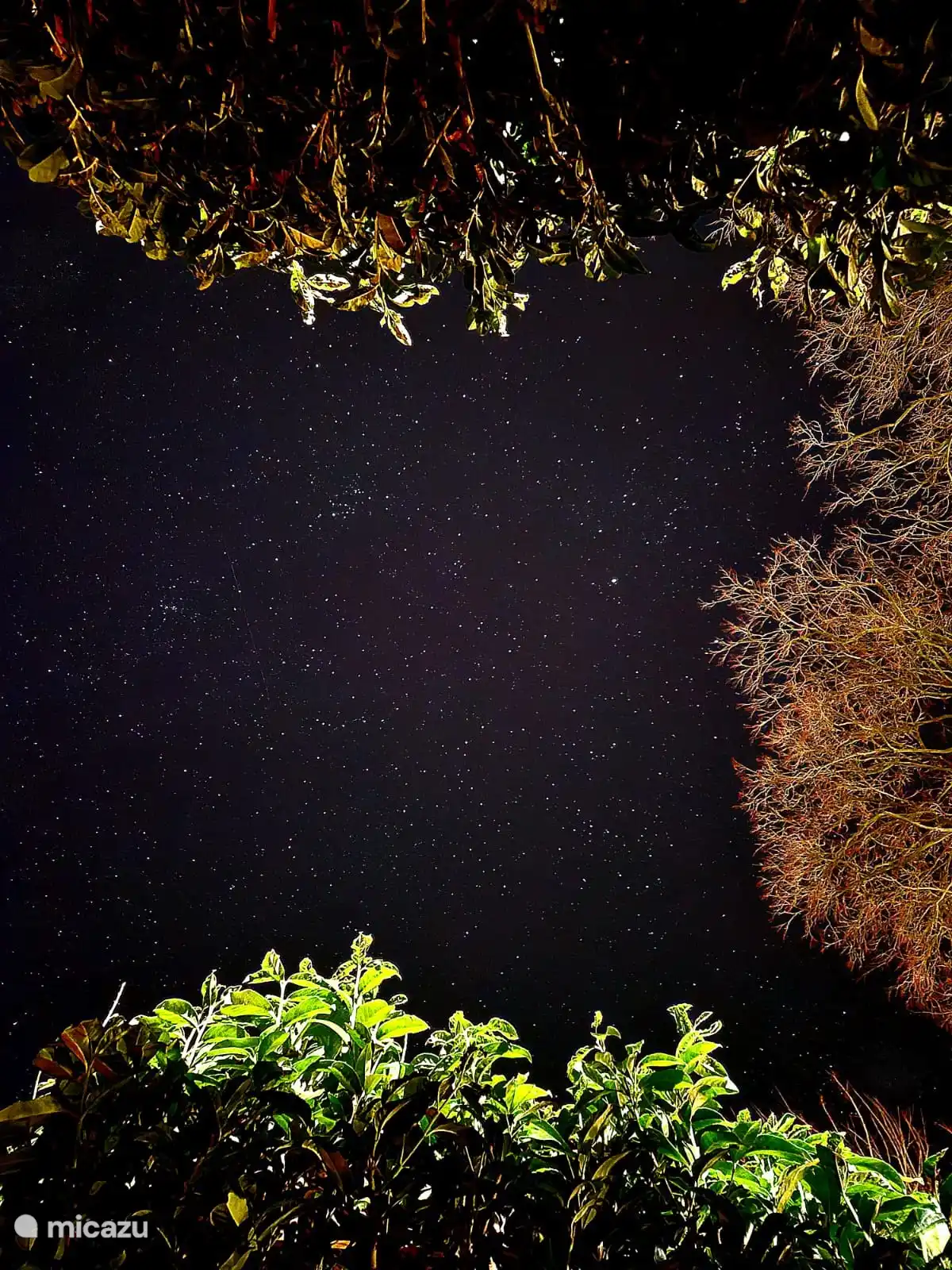 Sternenhimmel, hier hat man einen weiten Blick.