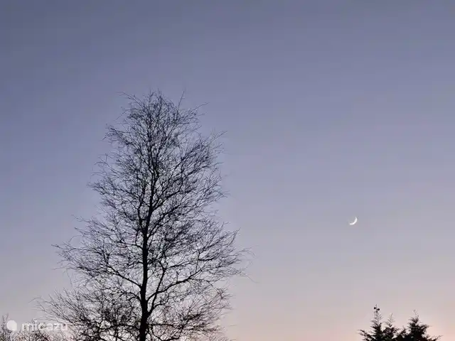 Horizon | Pays-Bas, Gueldre, Voorthuizen - bungalow Apportez vos jumelles pour voir la lune !!
Conseil des locataires et de nous-mêmes !!