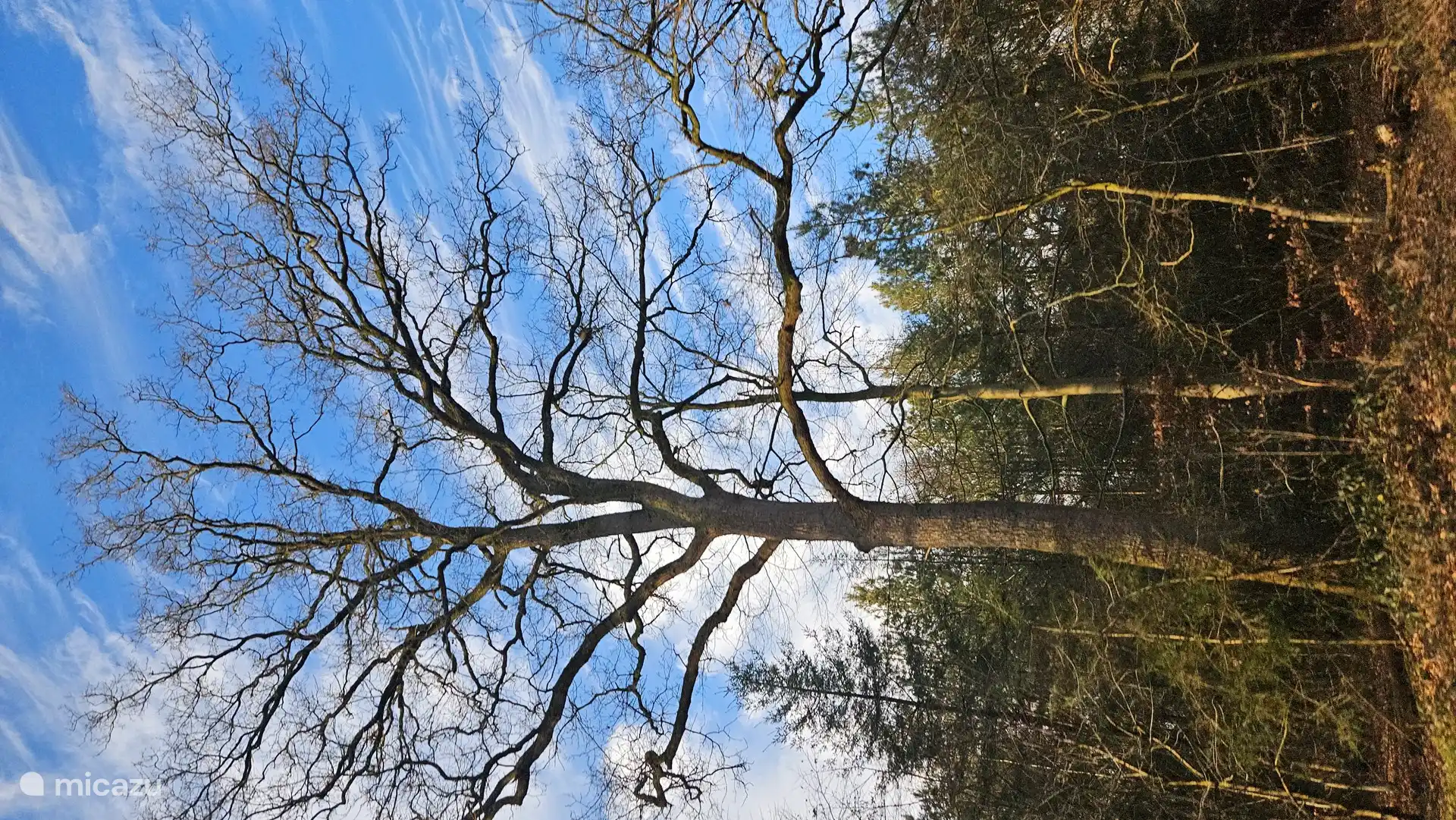 Radfahren oder Wandern, dafür gibt es in der Umgebung viele Möglichkeiten!