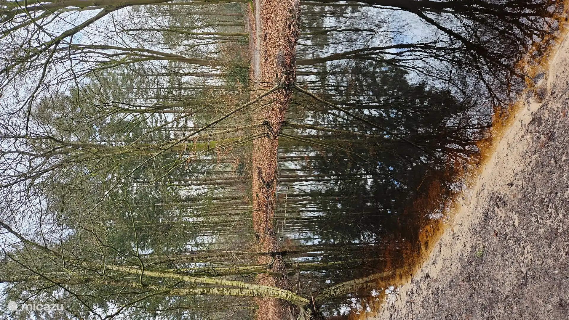 Schön spazieren gehen und Energie tanken.