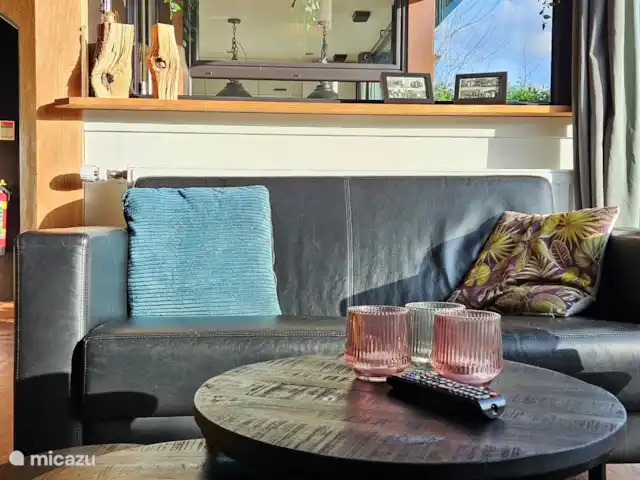 Horizon | Pays-Bas, Gueldre, Voorthuizen - bungalow Regardez la télévision ou profitez de la vue sur le jardin.
