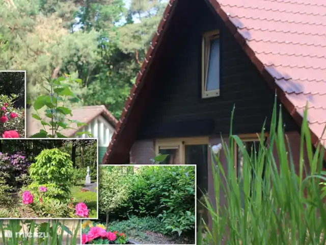 Walibi blanc | Pays-Bas, Brabant-Septentrional, Heesch - bungalow photo combinée du parc