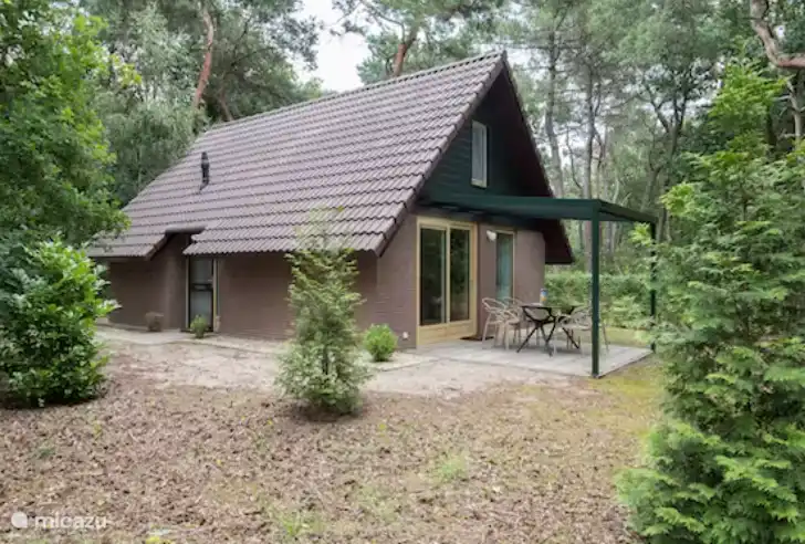 Gefleckter Specht in Niederlande, Nordbrabant, Heesch - bungalow