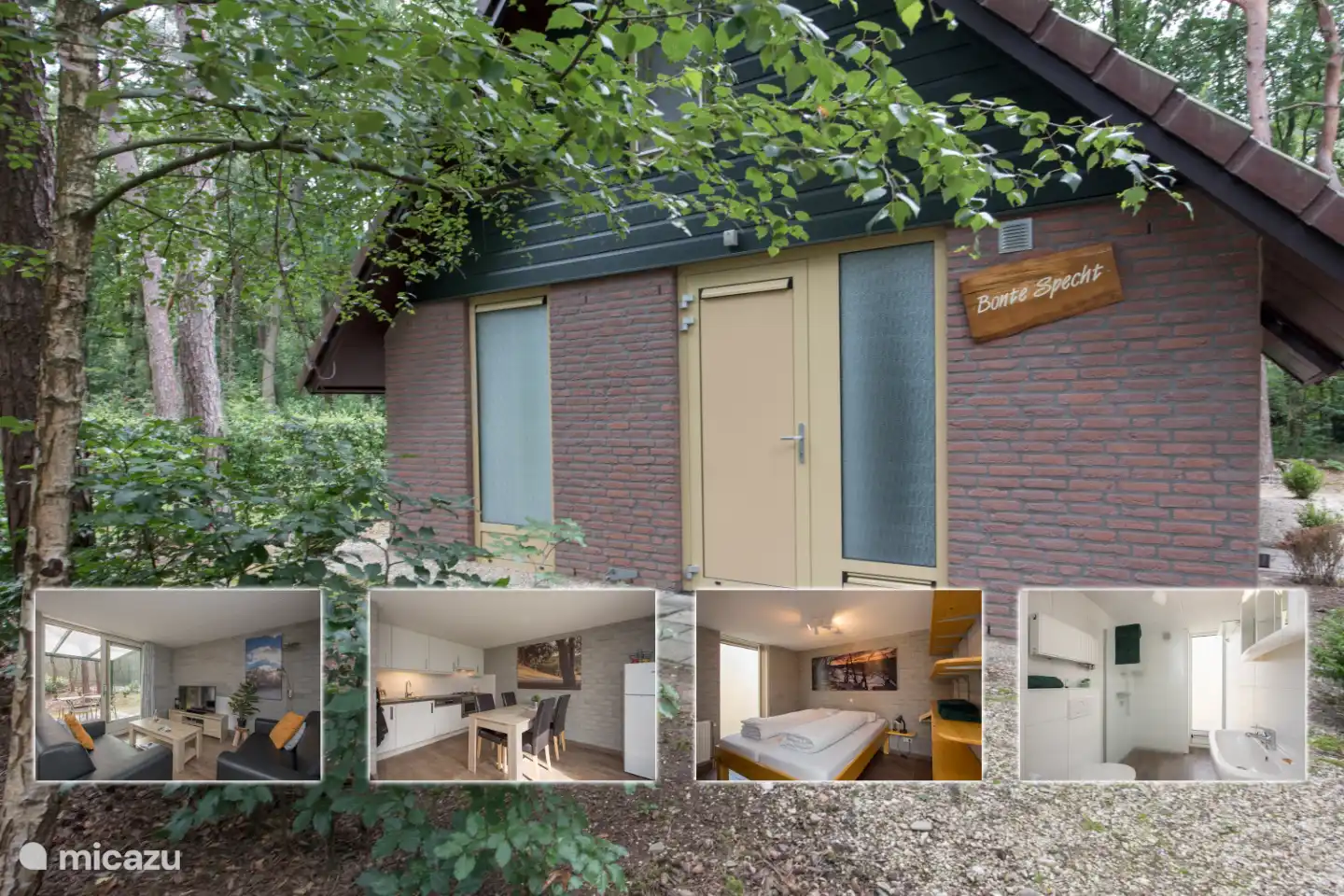 Zusammenstellungsfoto-Bungalow Buntspecht