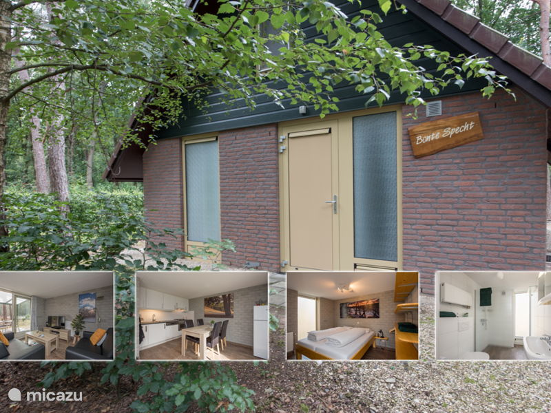Casa vacacional Países Bajos, Barbante septentrional, Heesch Bungaló pájaro carpintero manchado