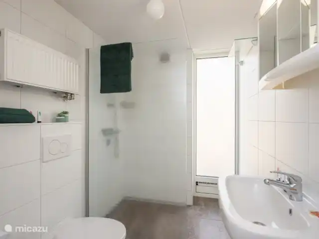 Bonte Specht huren in Nederland, Noord-Brabant, Heesch - bungalow Badkamer wat voorzien is van een toilet, wastafel en een inloopdouche