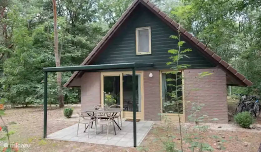 Grünspecht in Niederlande, Nordbrabant, Heesch - bungalow