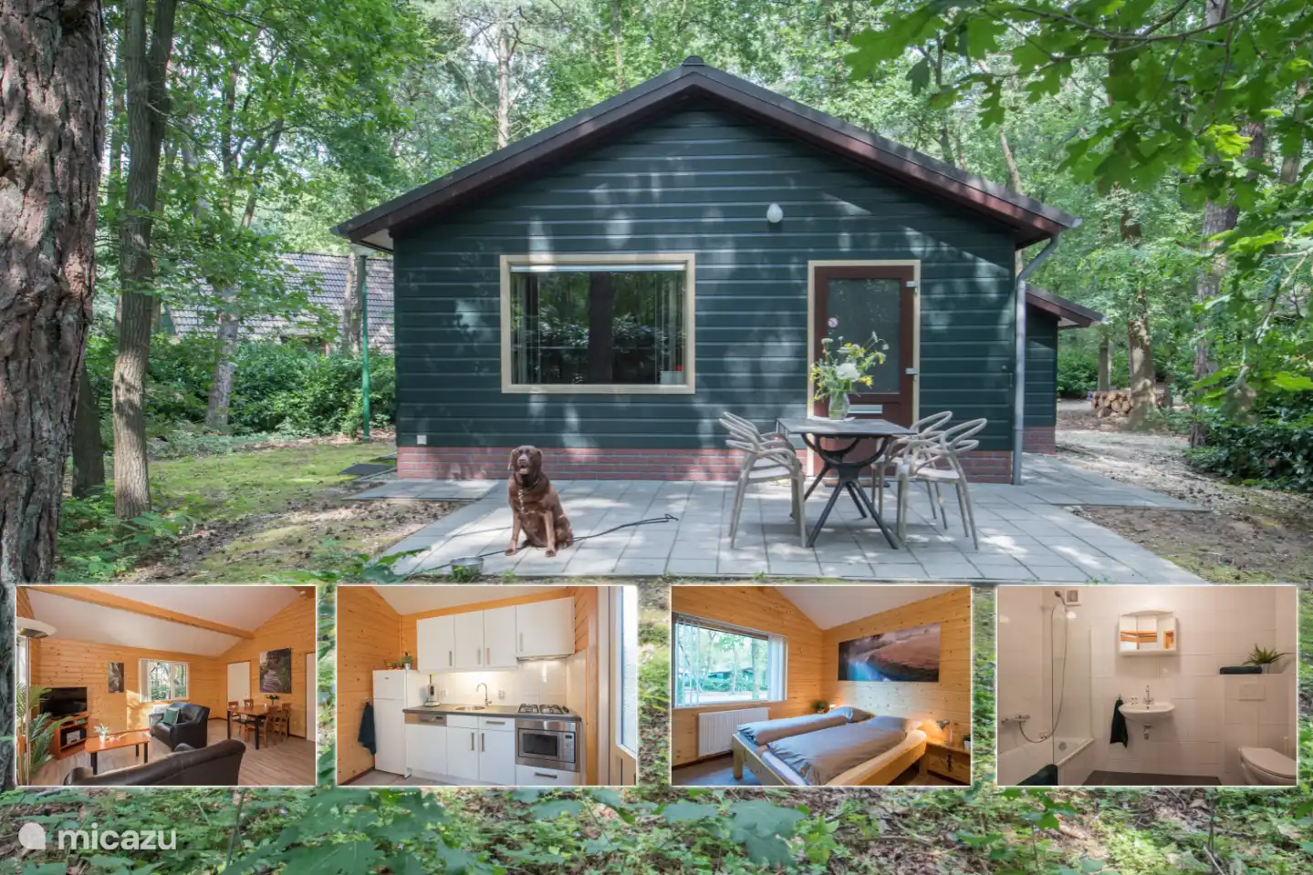 Blauer Pfau in Niederlande, Nordbrabant, Heesch - bungalow