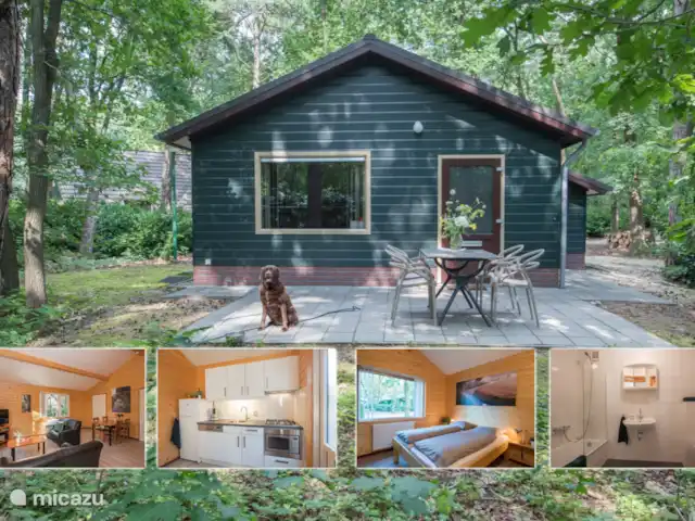 Paon bleu | Pays-Bas, Brabant-Septentrional, Heesch - bungalow Paon bleu | Pays-Bas, Brabant-Septentrional, Heesch - bungalow