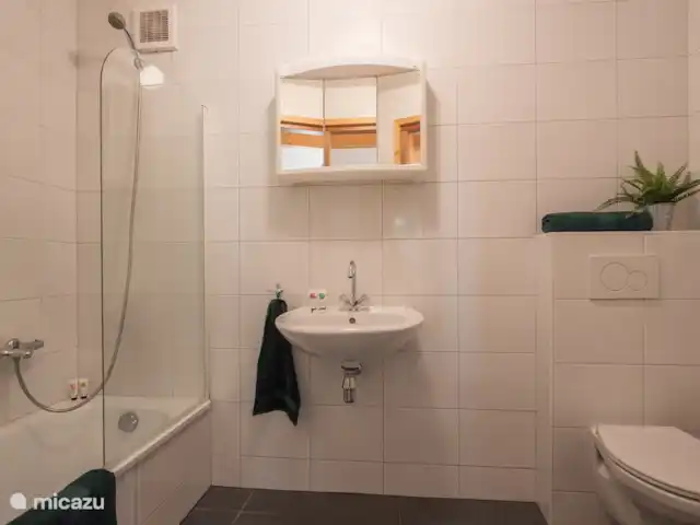 Paon bleu | Pays-Bas, Brabant-Septentrional, Heesch - bungalow La salle de bain comprend des toilettes, un lavabo et une baignoire.