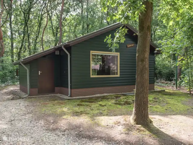 Paon bleu | Pays-Bas, Brabant-Septentrional, Heesch - bungalow Bungalow de Blauwe Pauw