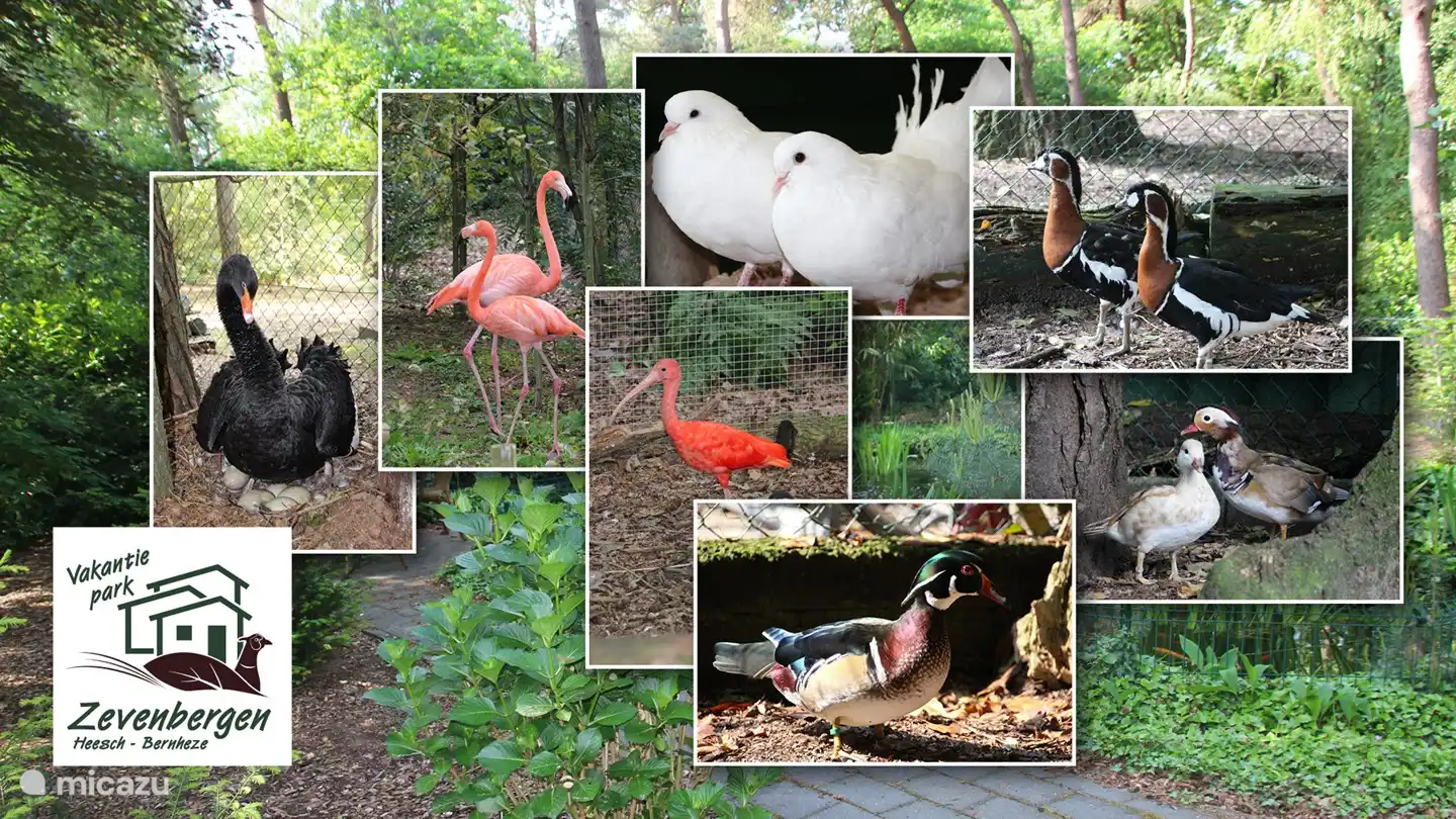 Werbefoto des Parks: Tierarten vorhanden 