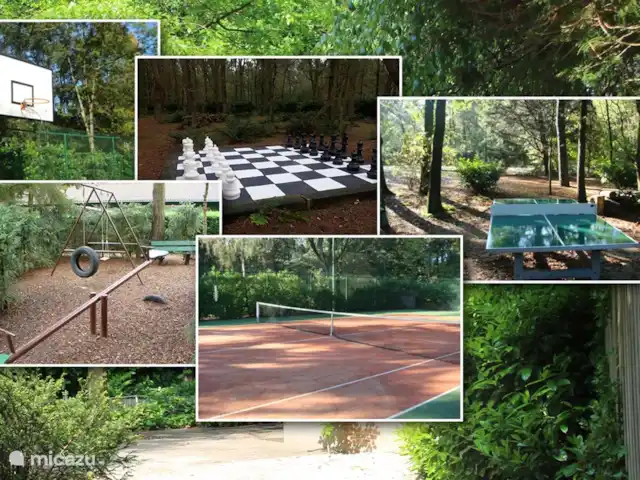 Paon bleu | Pays-Bas, Brabant-Septentrional, Heesch - bungalow Installations du parc