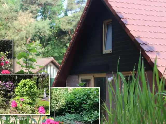 Paon bleu | Pays-Bas, Brabant-Septentrional, Heesch - bungalow photo combinée du parc