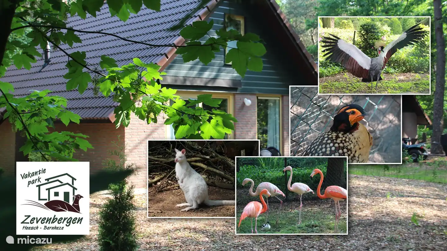 Im Park leben mehrere Tierarten 