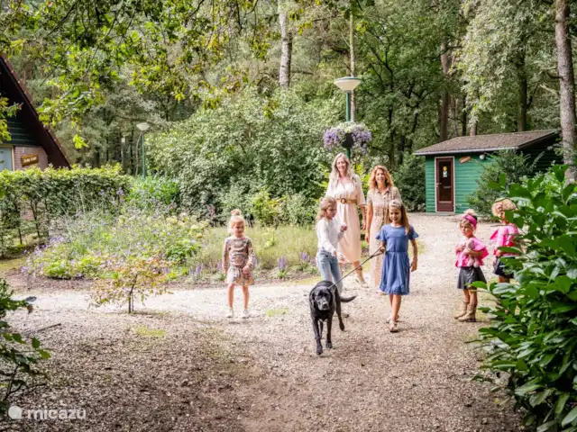 Paon bleu | Pays-Bas, Brabant-Septentrional, Heesch - bungalow Sortir avec les enfants dans la belle nature
