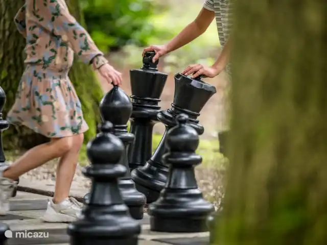 Paon bleu | Pays-Bas, Brabant-Septentrional, Heesch - bungalow Jouez aux échecs avec toute la famille