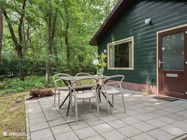 Paon bleu | Pays-Bas, Brabant-Septentrional, Heesch - bungalow Jardin avec terrasse