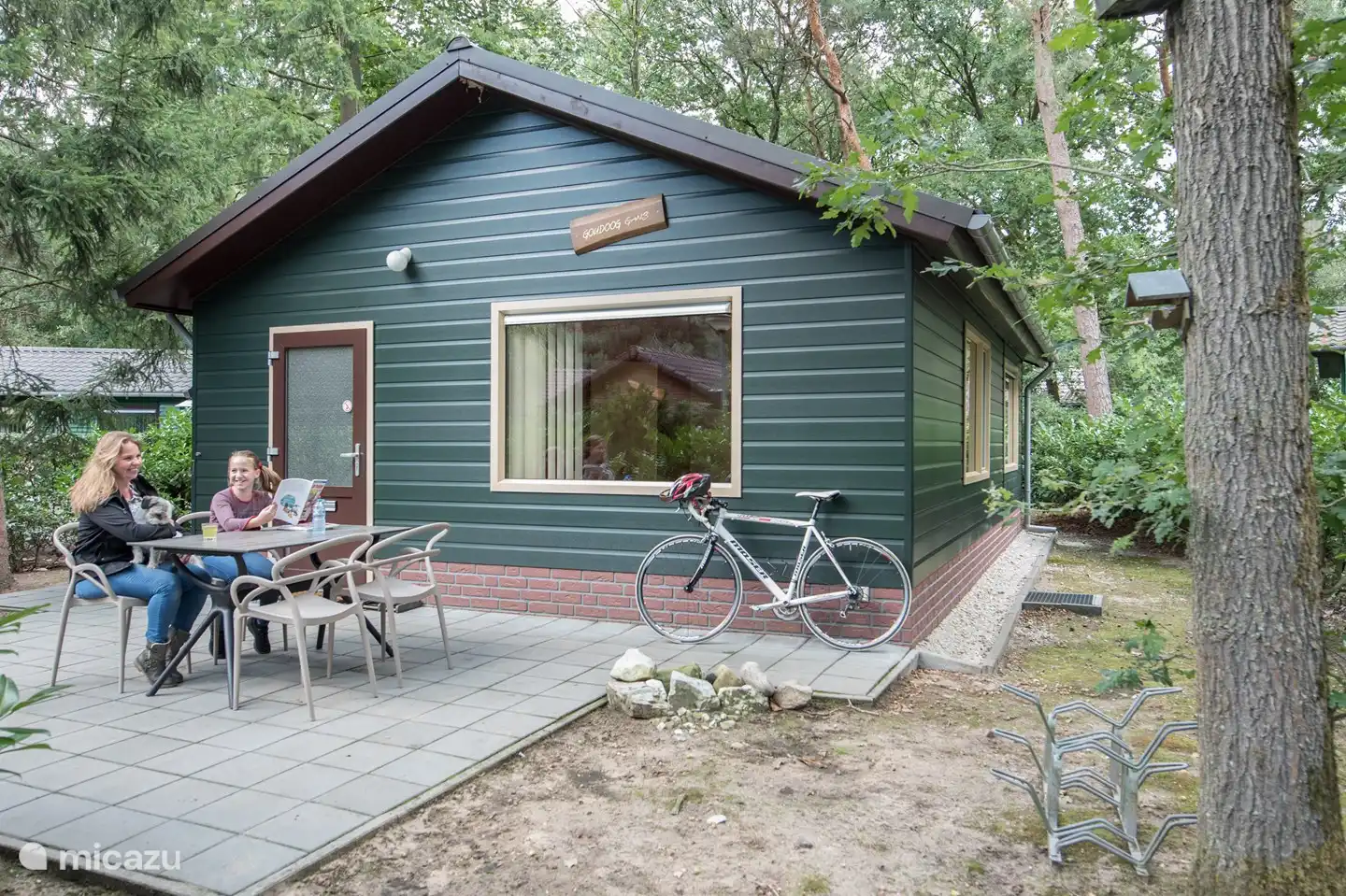 Gans mit goldenen Augen in Niederlande, Nordbrabant, Heesch - bungalow