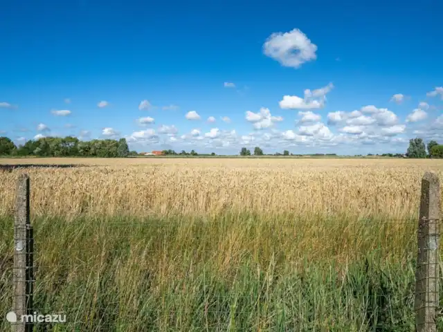 't Groenzicht huren in België, West-Vlaanderen, Pervijze - vakantiehuis Zicht over de velden