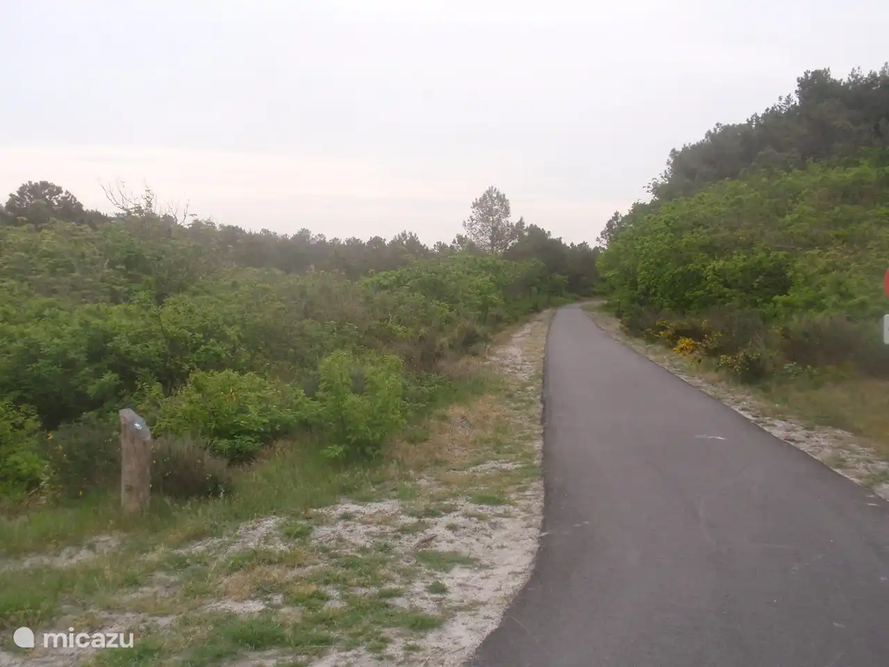 Radwege im Dünengebiet