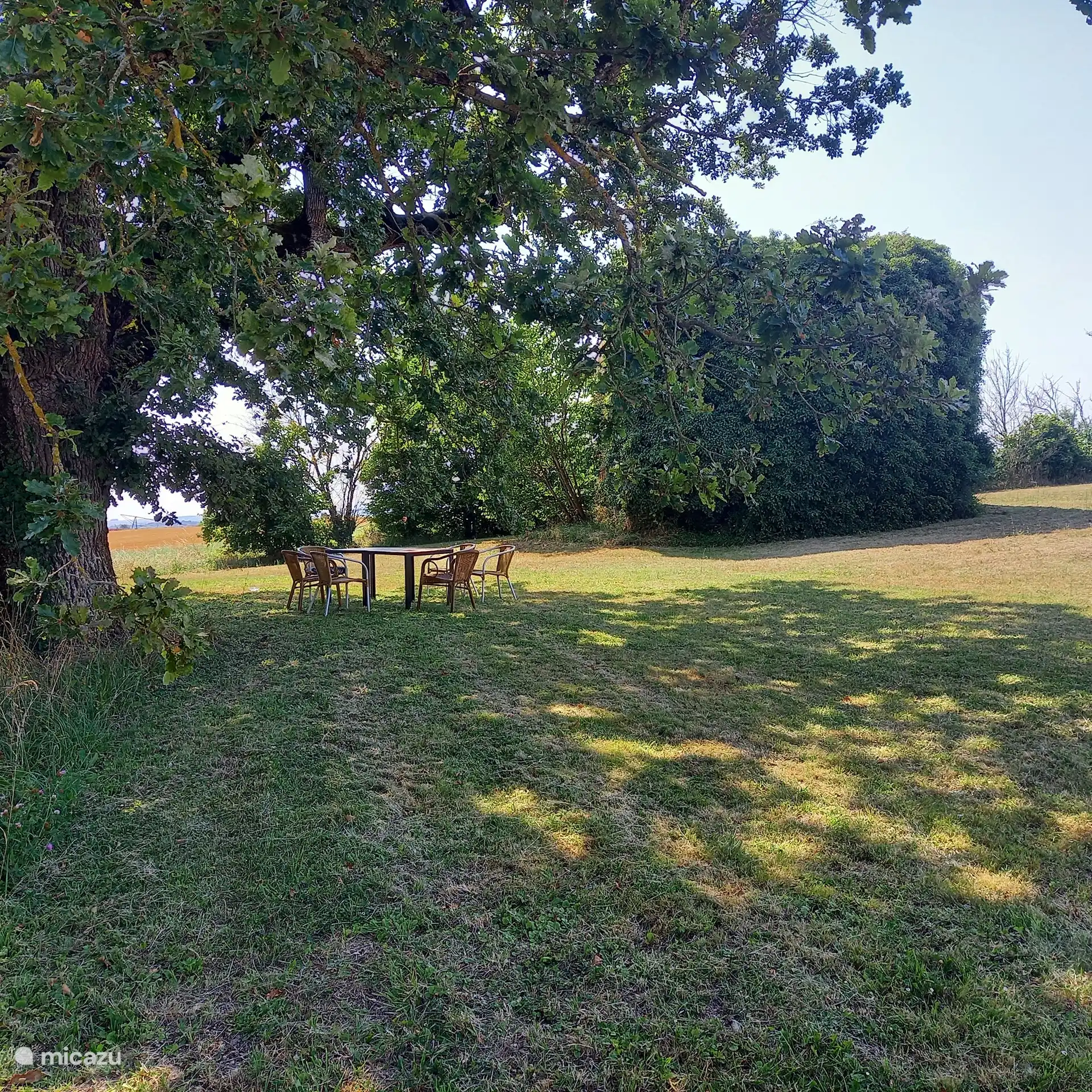 The field at the front 