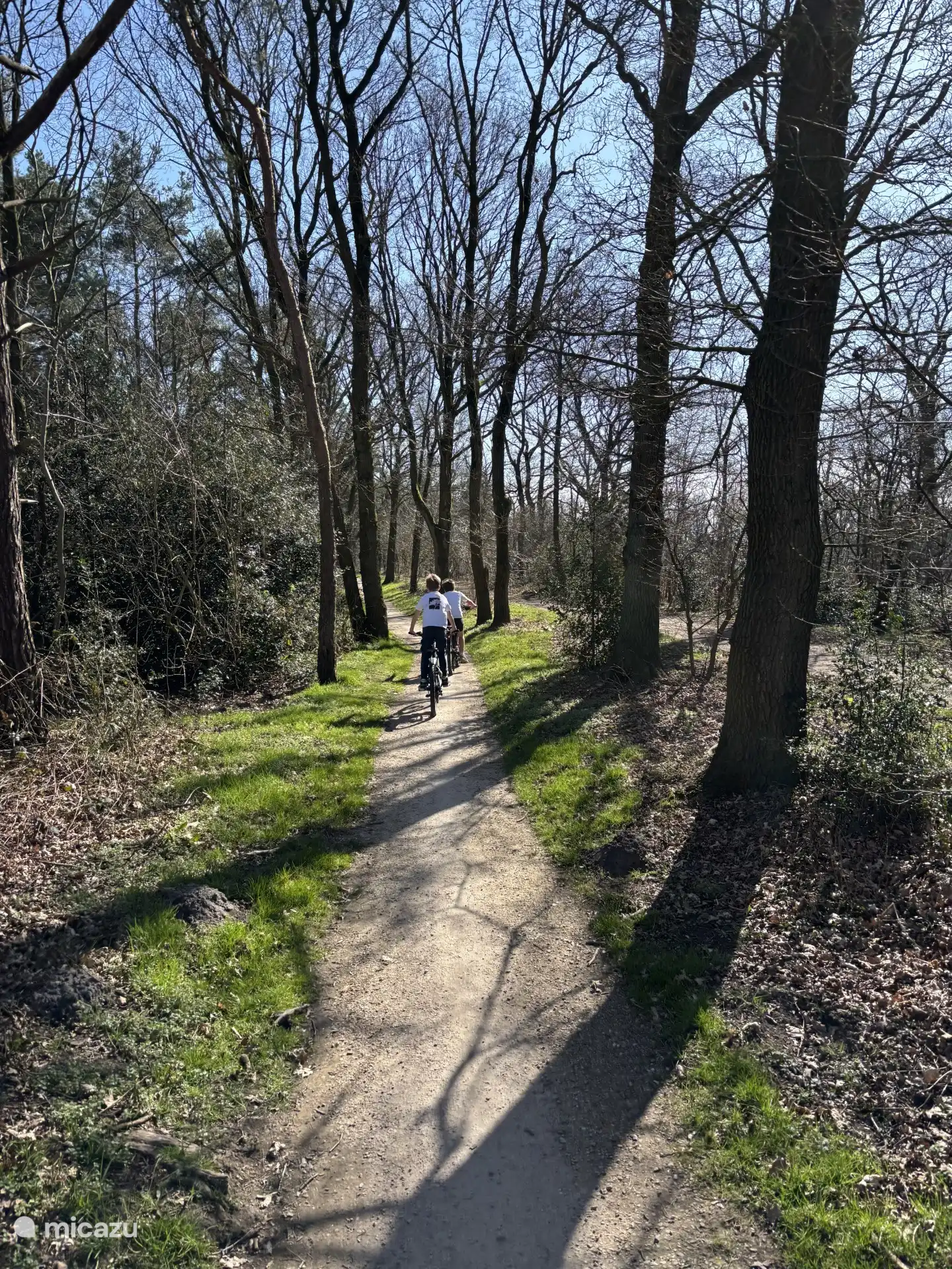 Schönes Radfahren auf dem Vrijdijk