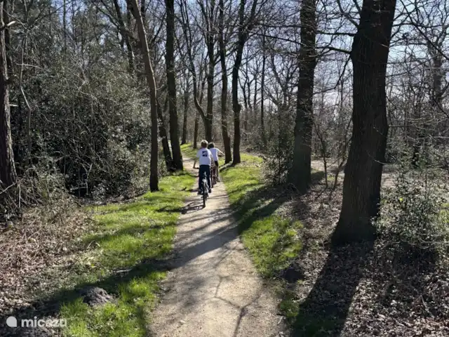 Bavelds dennen | Luxe bungalow 23 huren in Nederland, Overijssel, Denekamp - bungalow Lekker fietsen over de Vrijdijk