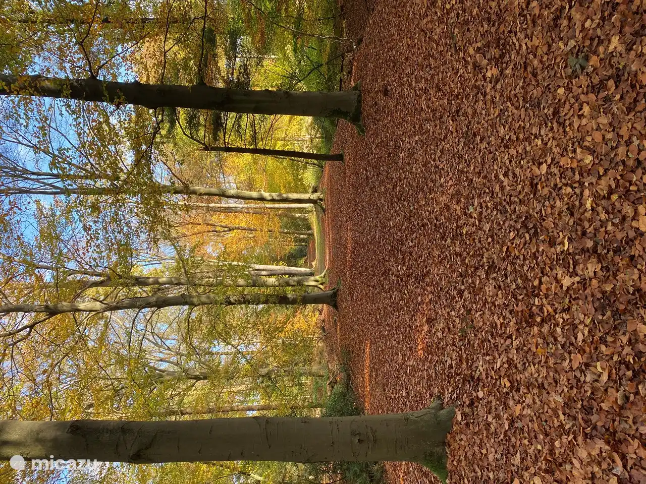 Was für eine Ruhe hier im Wald hinter dem Singraven Estate