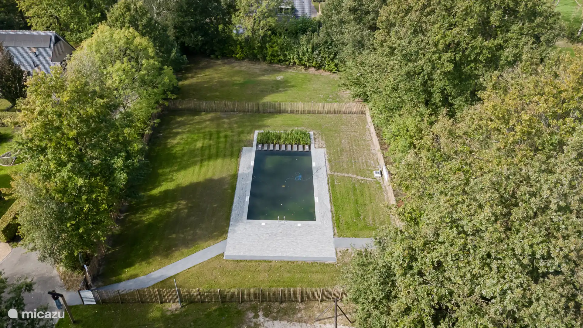 het gemeenschappelijke natuur zwembad 