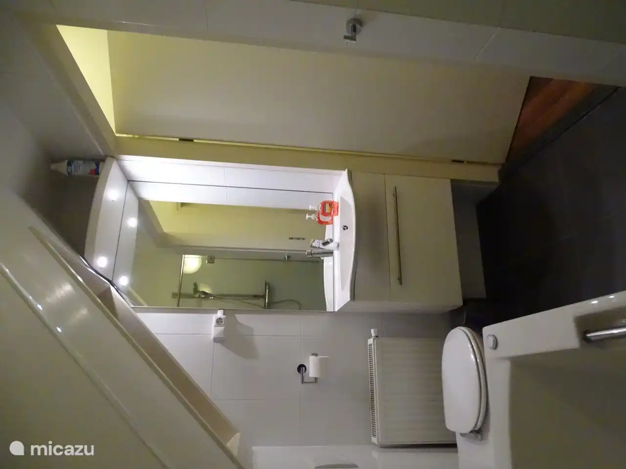 Badezimmer mit WC, Dusche und Whirlpool!