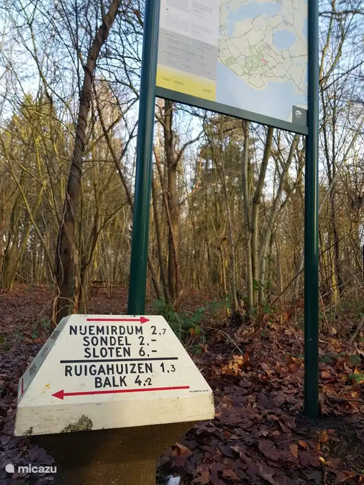 Naturschutzgebiet Bremer Wildernis nur wenige Kilometer von Ihrem Ferienhaus entfernt
